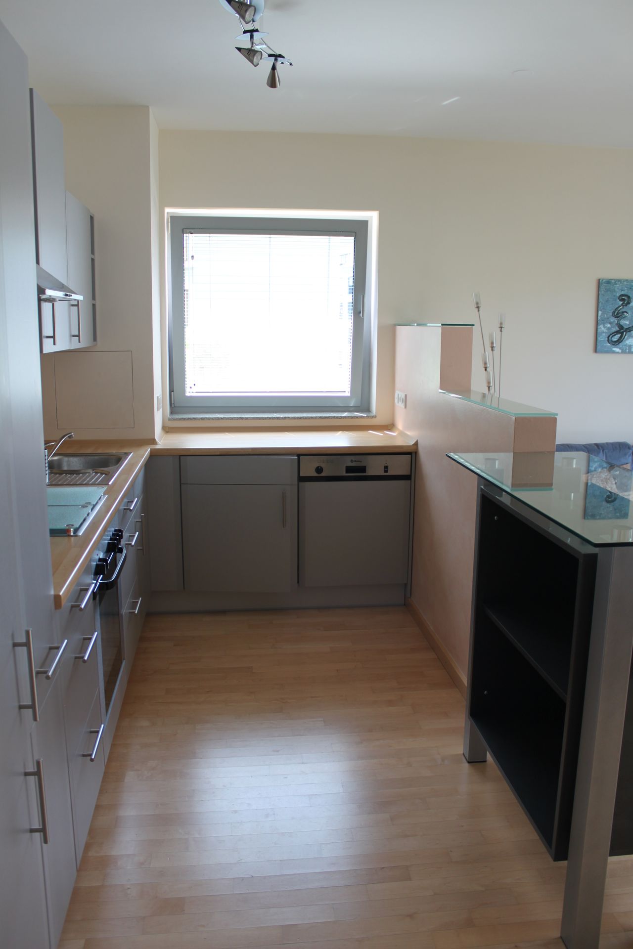 Modern apartment on the river Main (Frankfurt am Main)