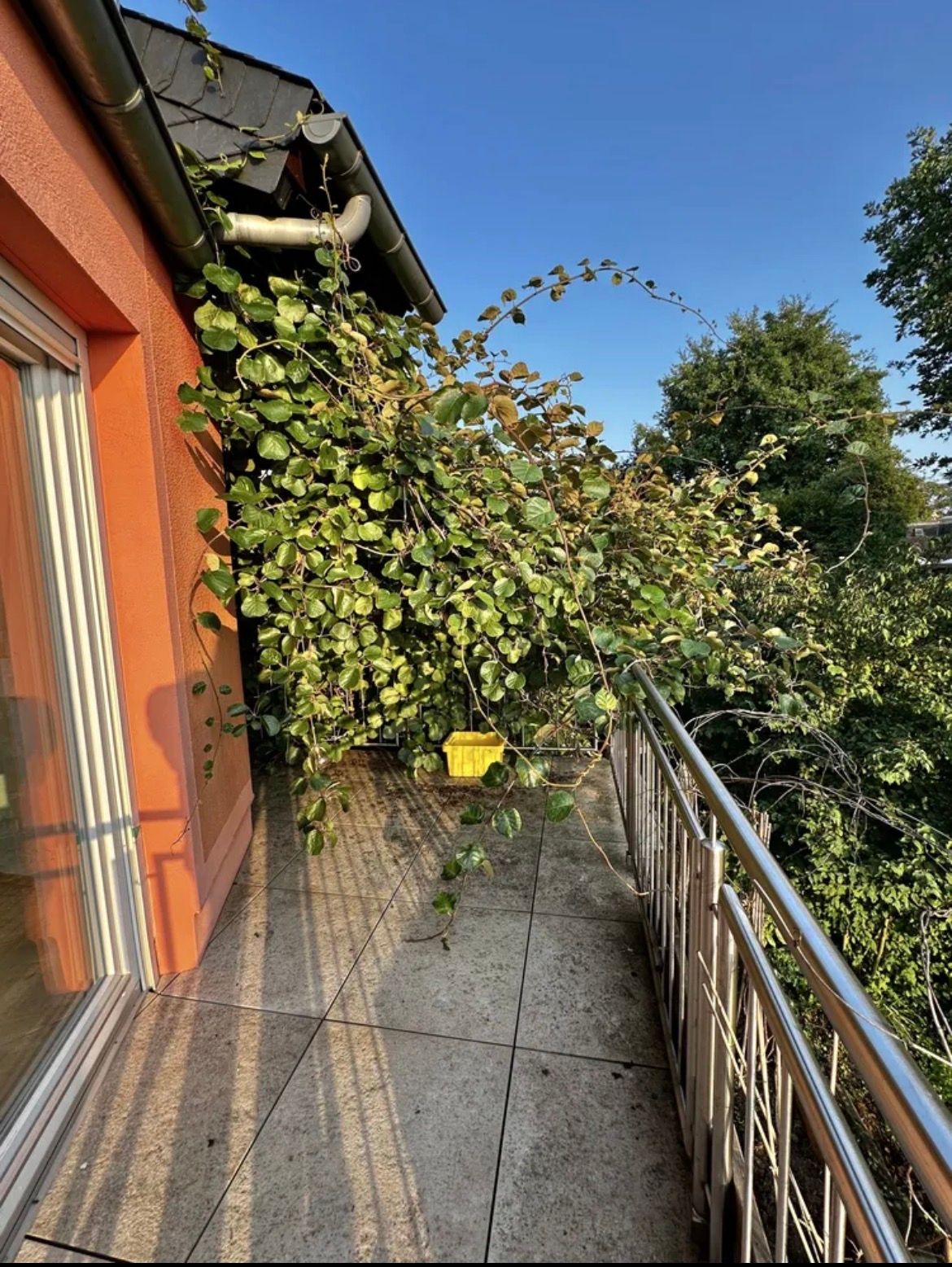 Cozy home in Bad Vilbel