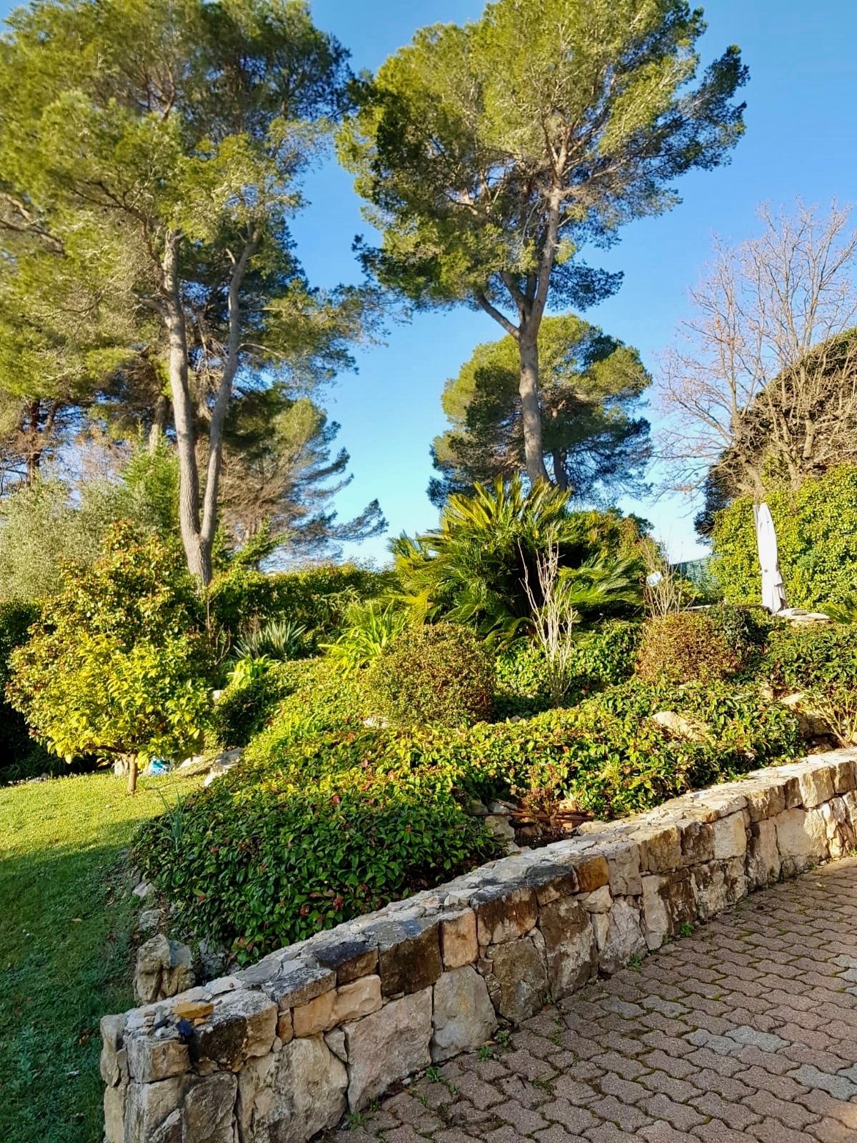 Location Villa avec piscine à proximité de Mougins School (loyer tout inclus)