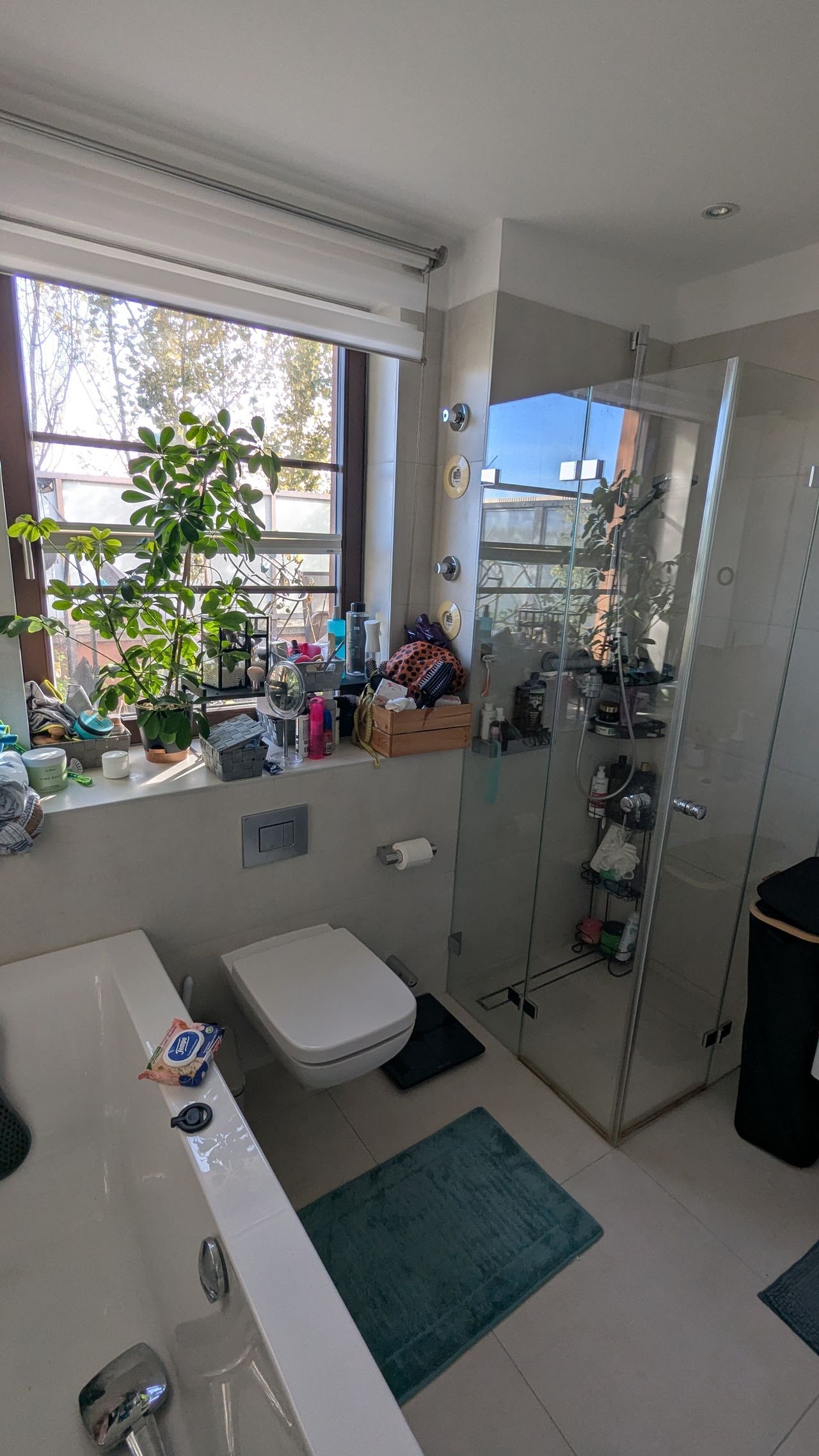 2-room penthouse with huge & green terrace