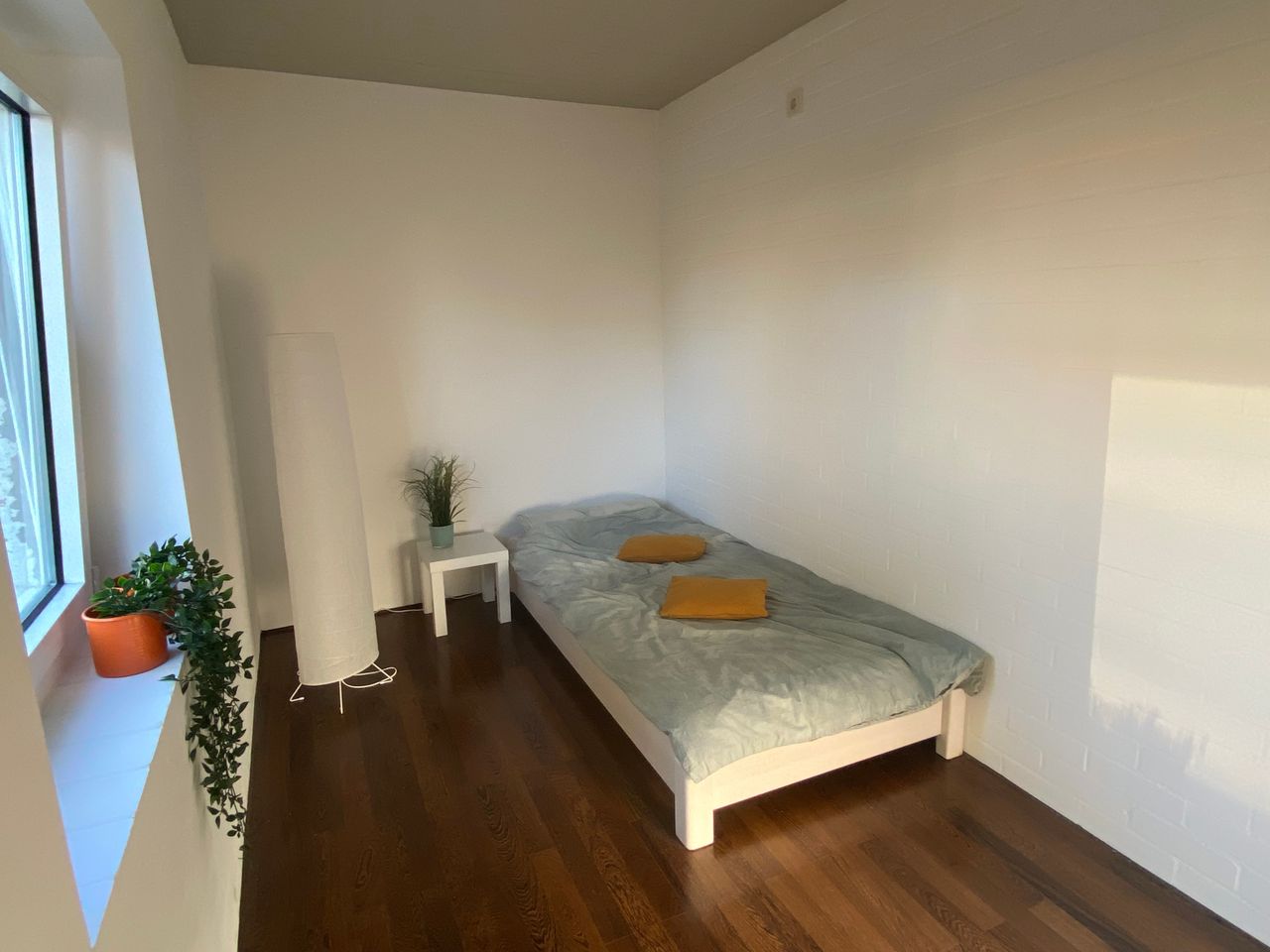beautiful, bright shared room in an old estate