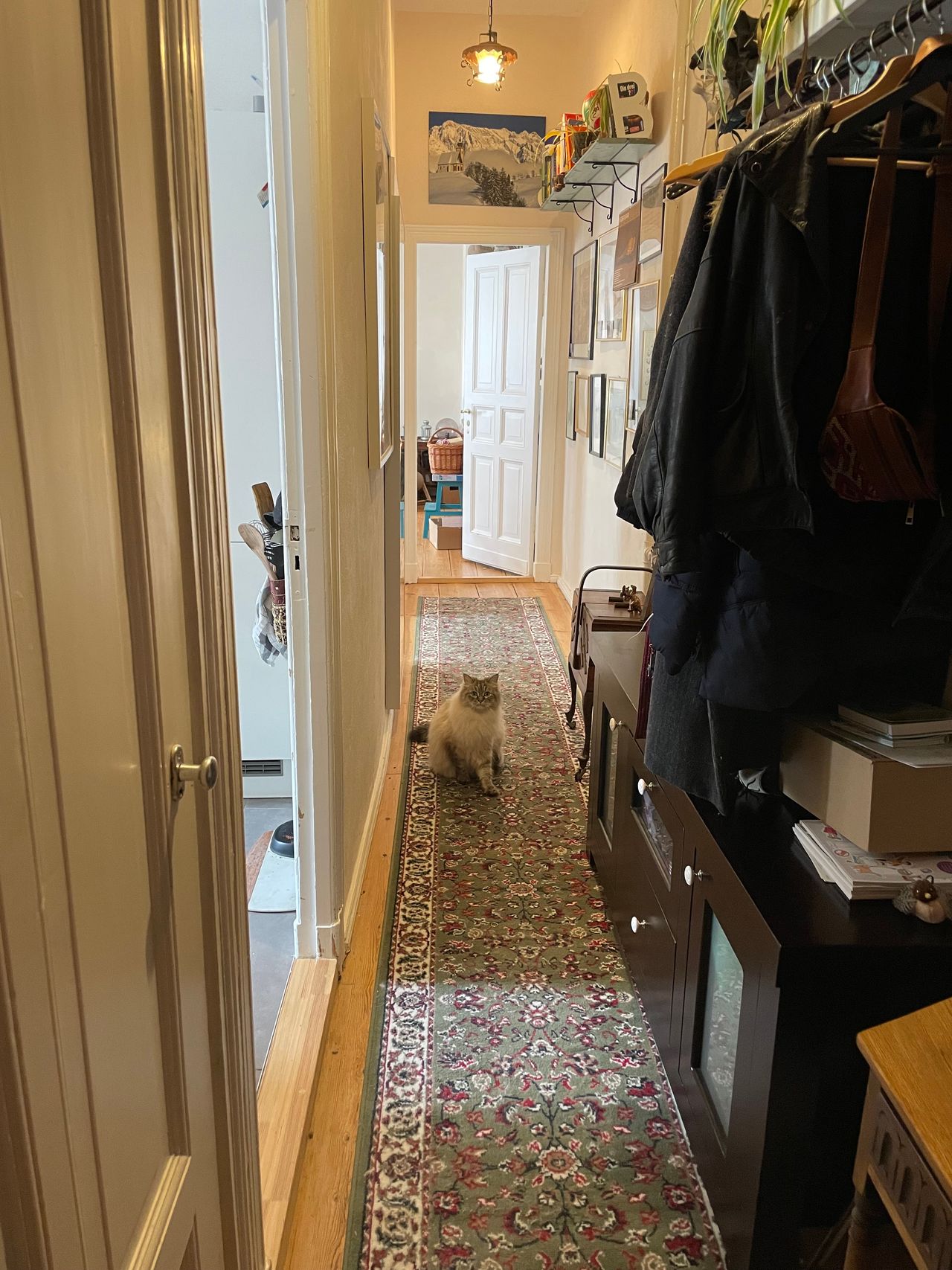 Old building apartment in Berlin Charlottenburg