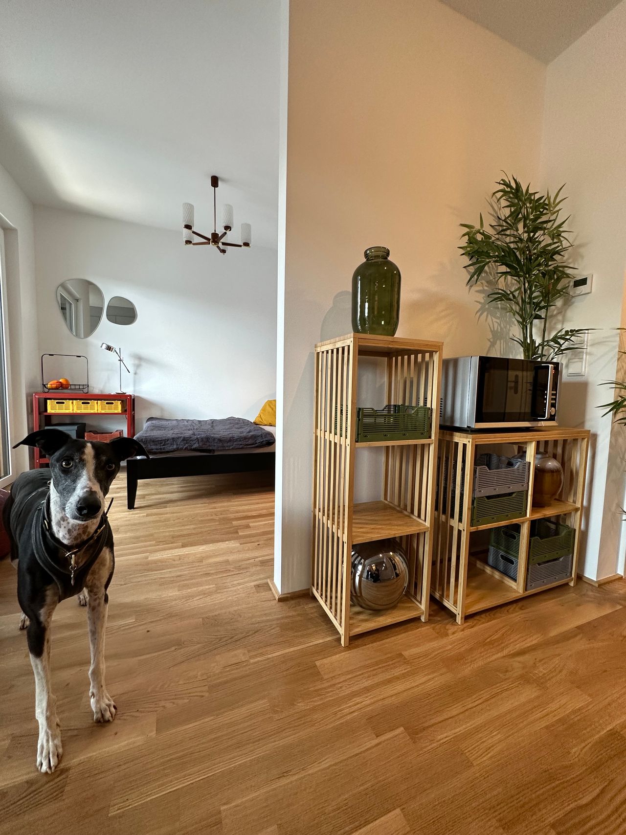 Light-flooded new apartment near the river Main (Frankfurt Griesheim)