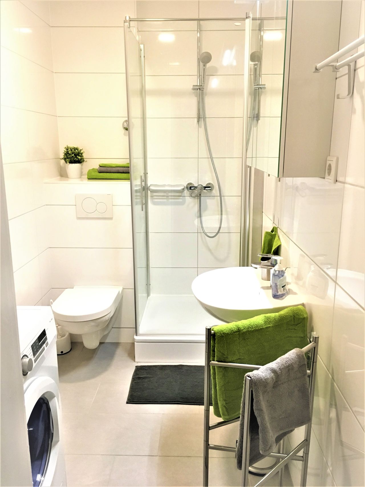 Charming and bright home next to Zoopark