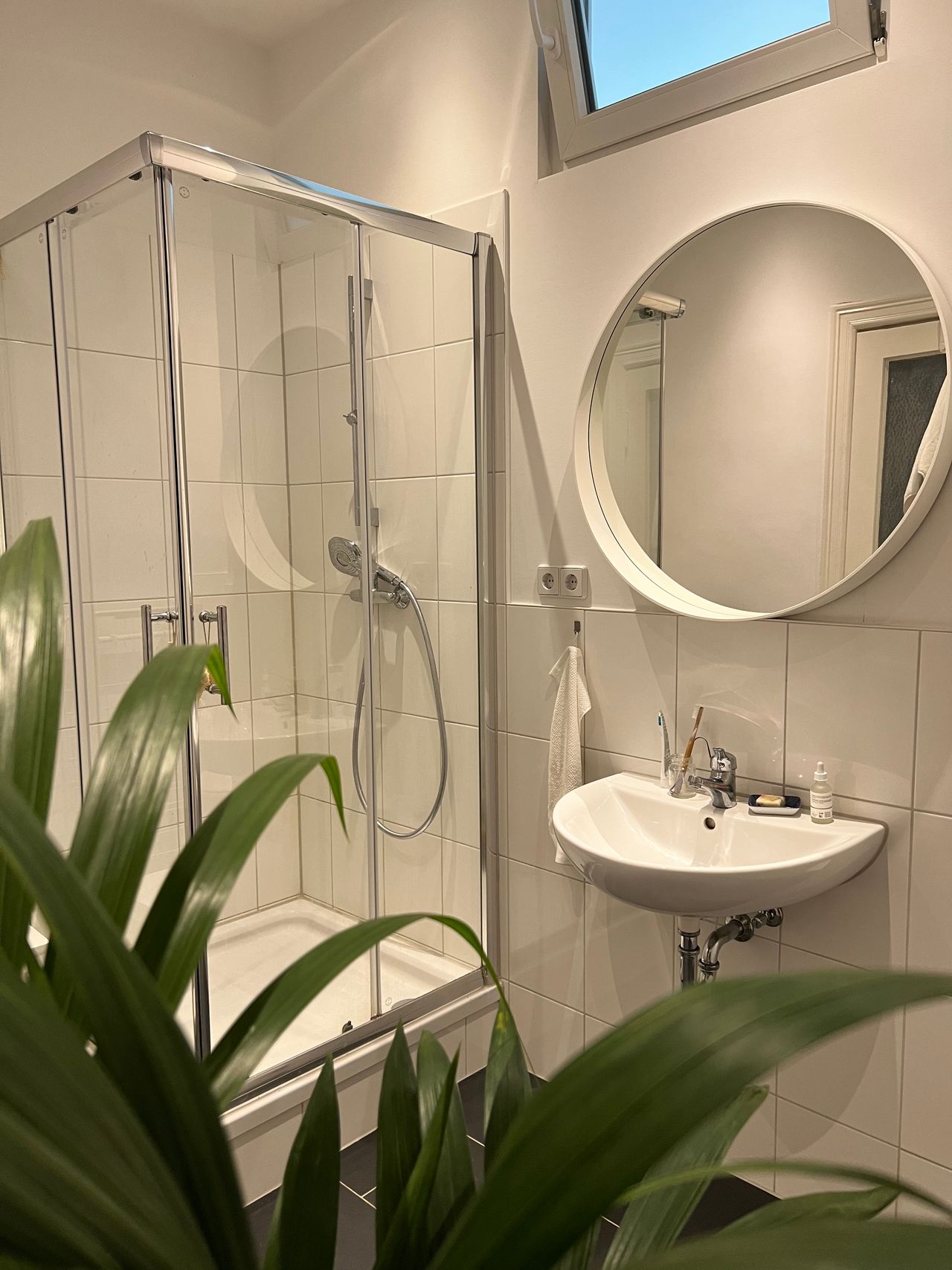 Serene Beautiful Studio