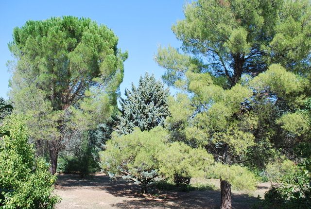 Location Bastide en Provence (loyer tout inclus)