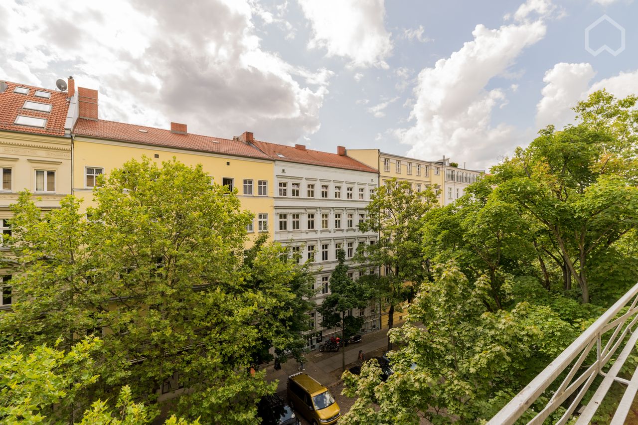Light-flooded spacious apartment with large kitchen-cum-living-room, balcony & free standing bathub directly at the Weinbergspark in Berlin