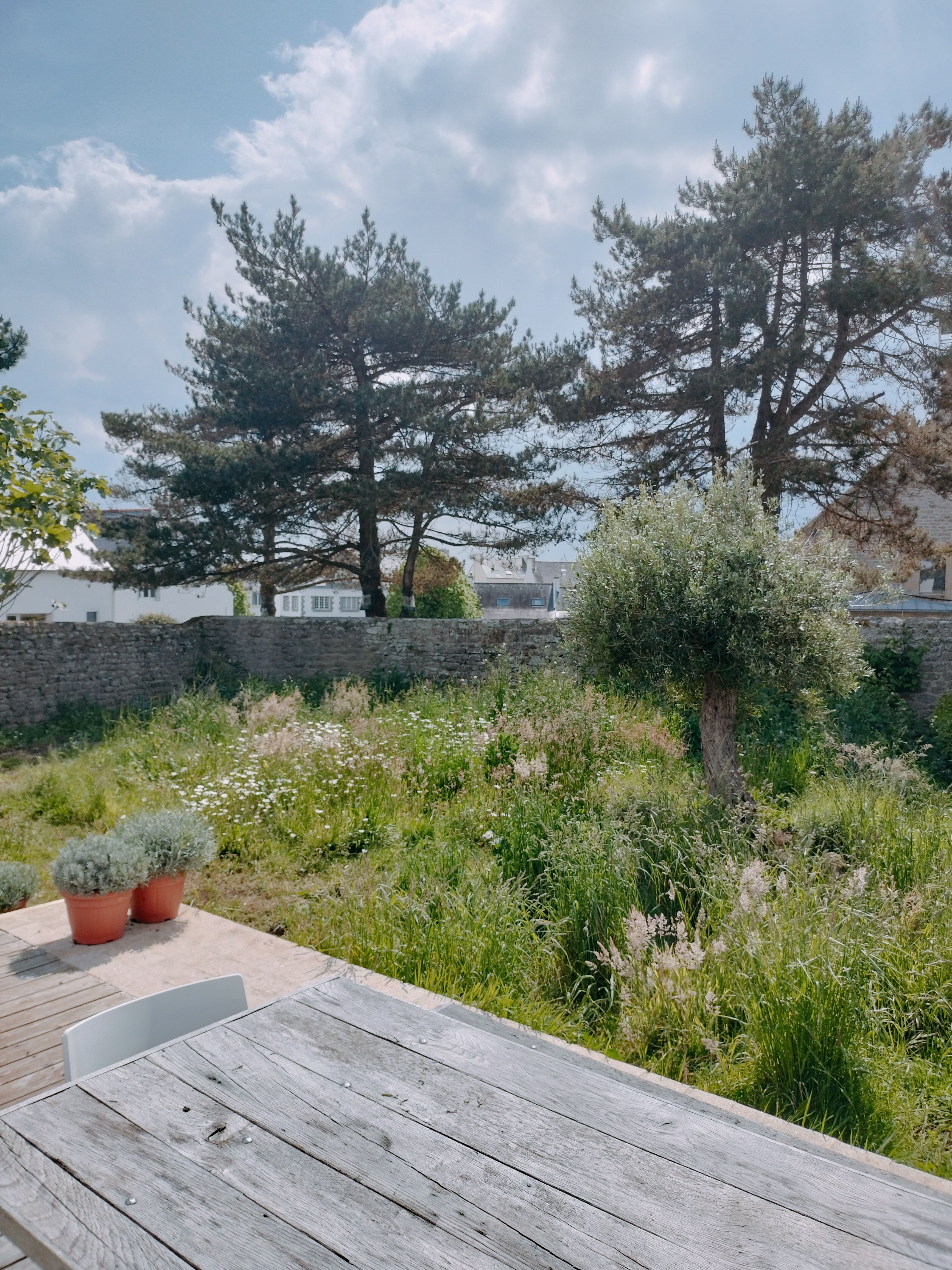 Location Coup de coeur belle maison de pêcheur contemporaine au pied de la mer dans le be