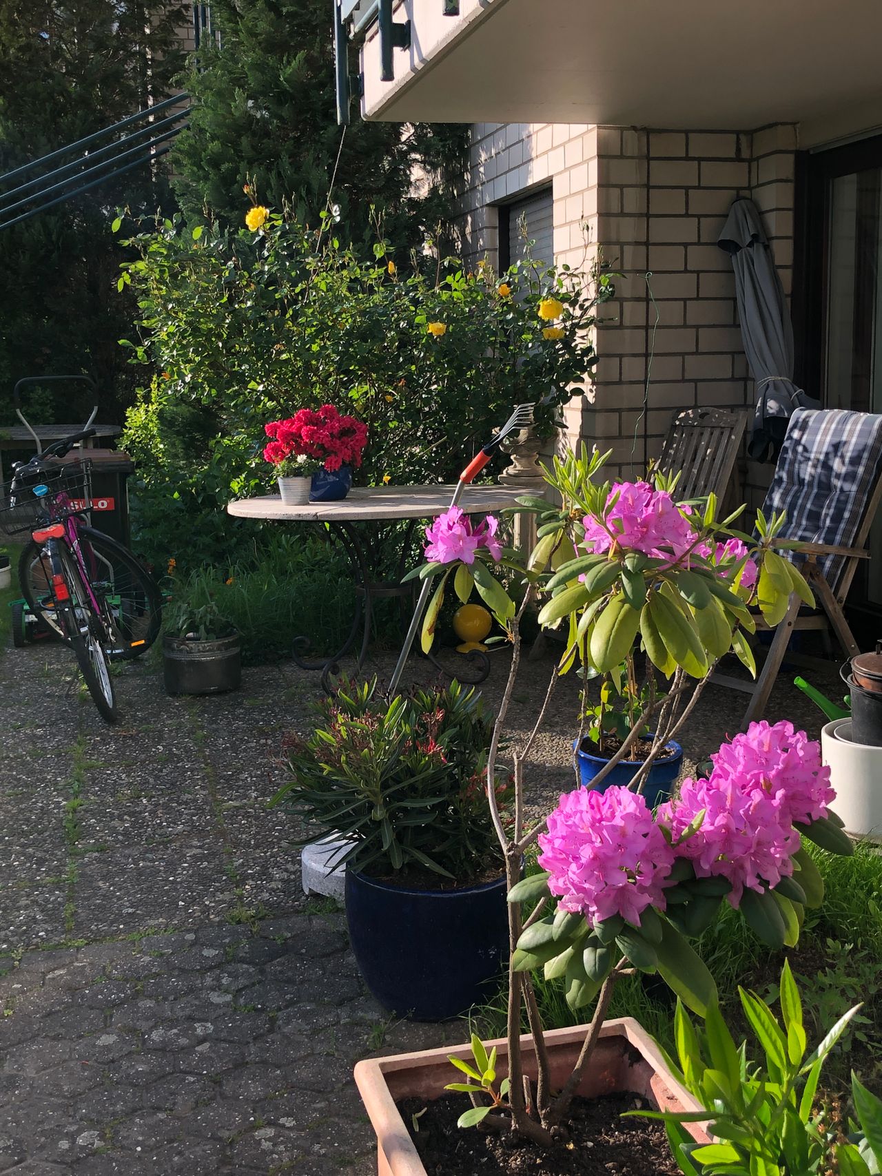 Cologne Green Belt: wonderful garden-apartment, central location, green and quiete