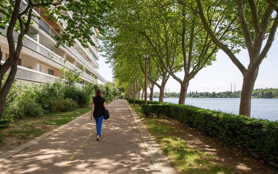 Superbe suite proche du centre-ville (loyer tout inclus) Créteil