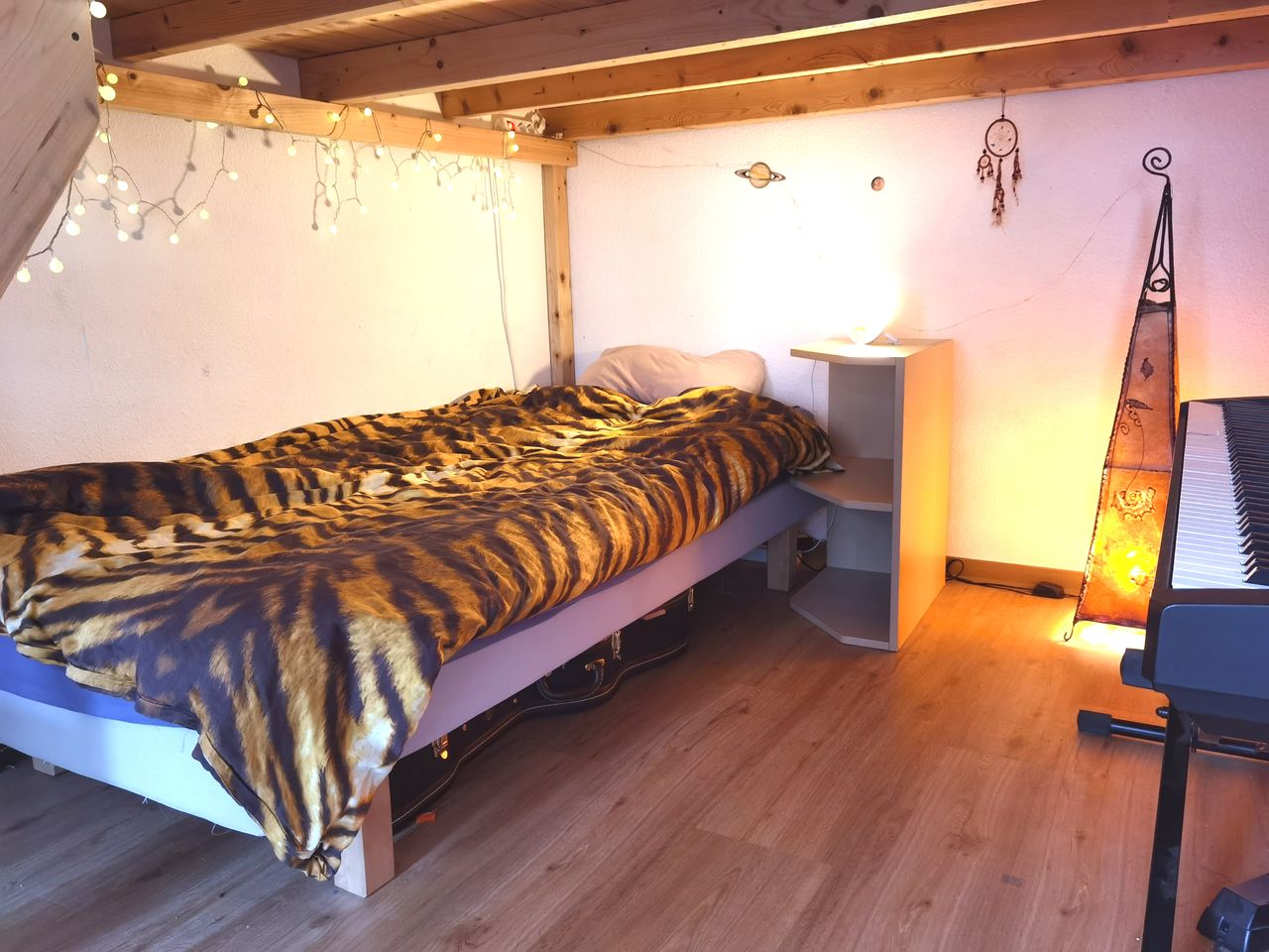 Cozy spacious apartment - huge garden - for up to 4