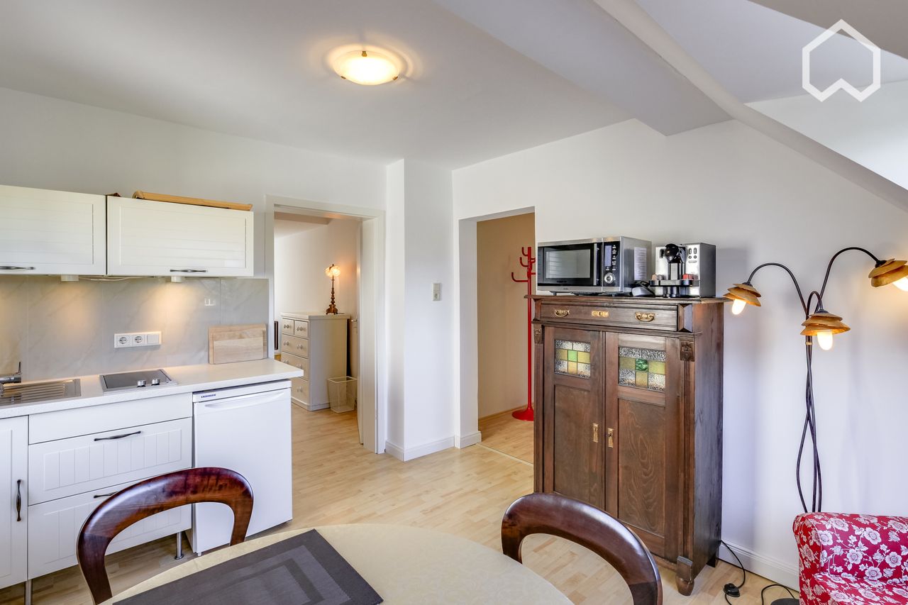 Wonderful apartment (Düsseldorf)