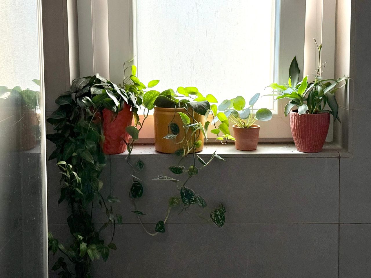 Renting Entire Apartment - Light, Quiet & Spacious in Neukolln