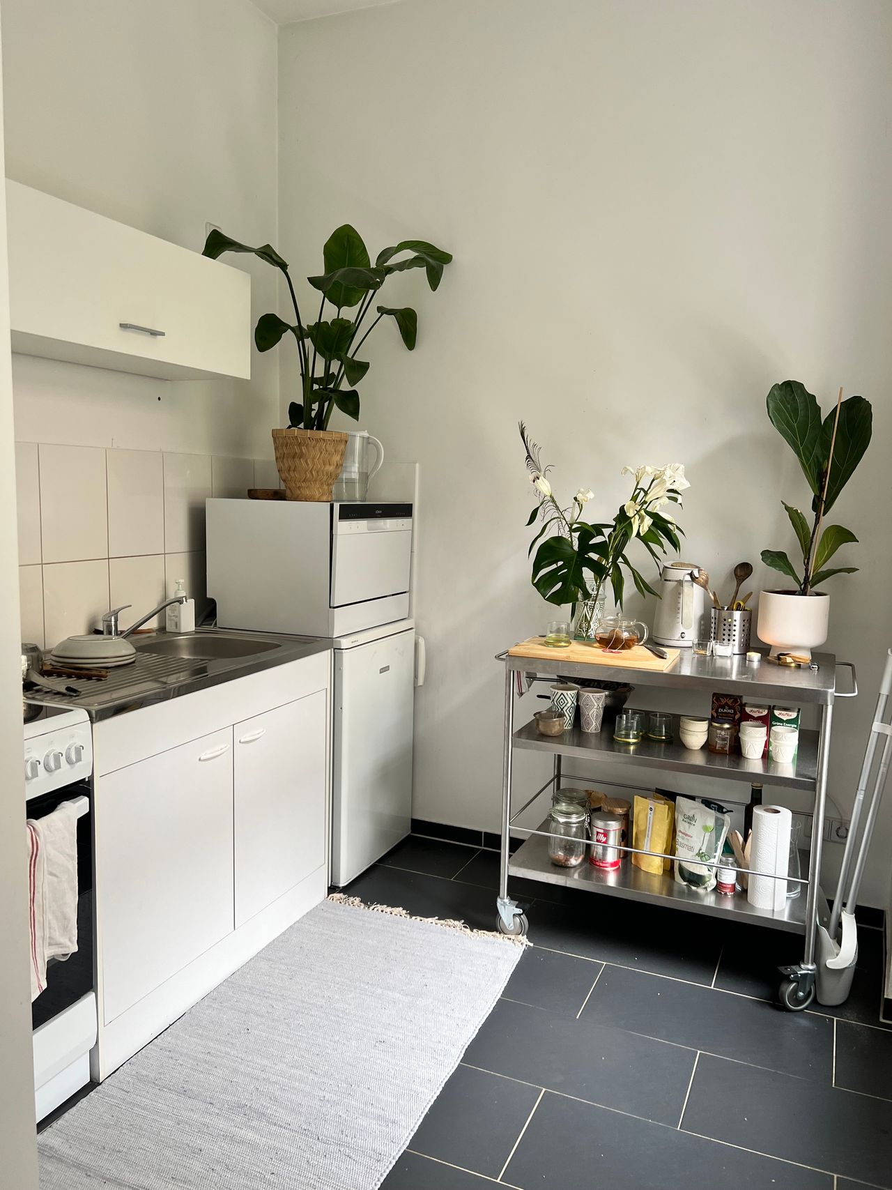 Serene Beautiful Studio