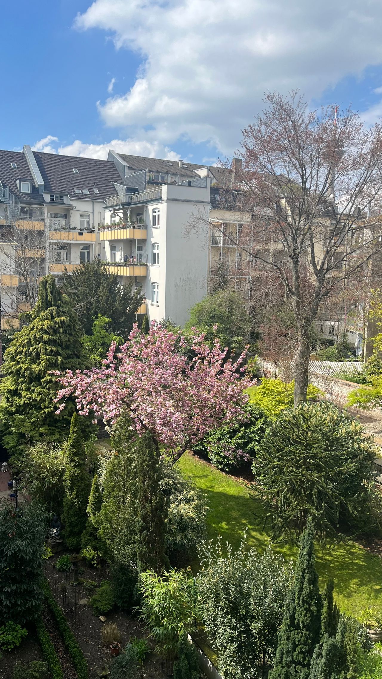 Möblierte 5-Zimmer-Wohnung mit Balkon und Homeoffice-Bereich in Toplage Unterbilk (befristet)
