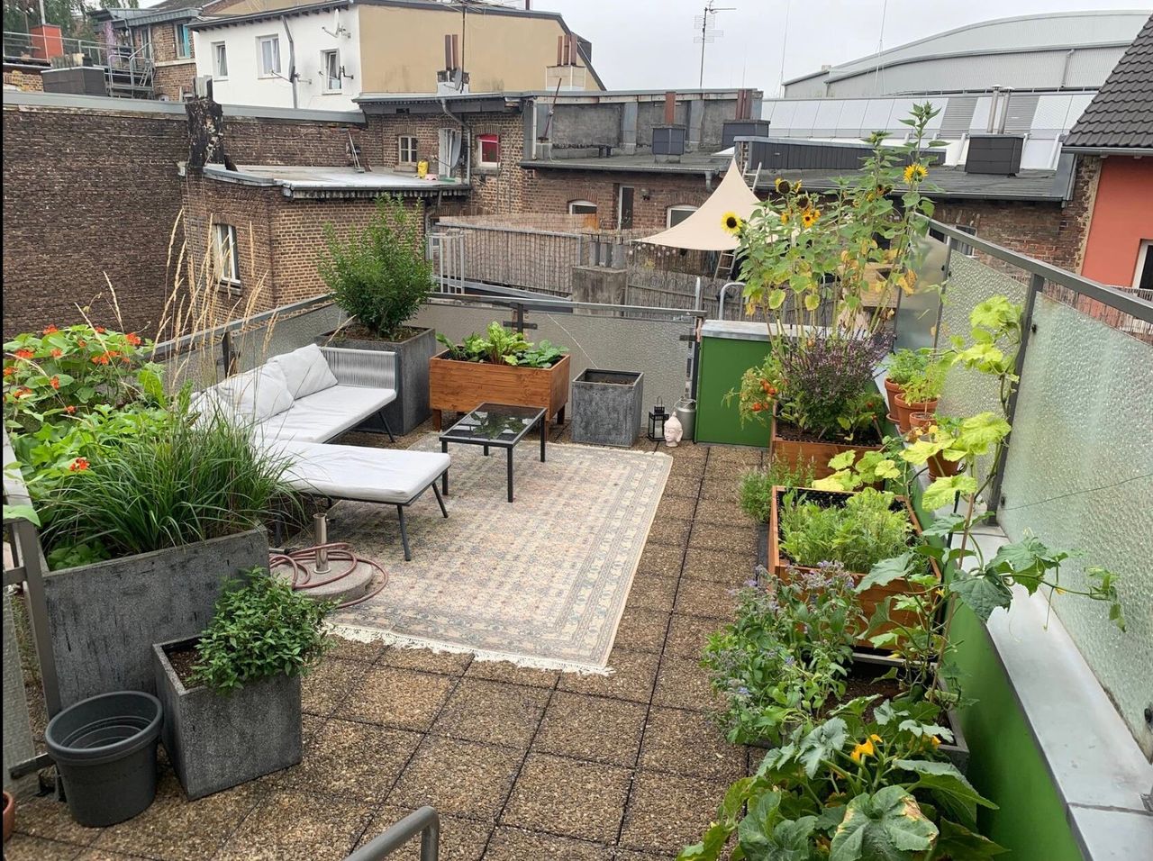 Very bright rooftop terrace apartment in a central location in Aachen