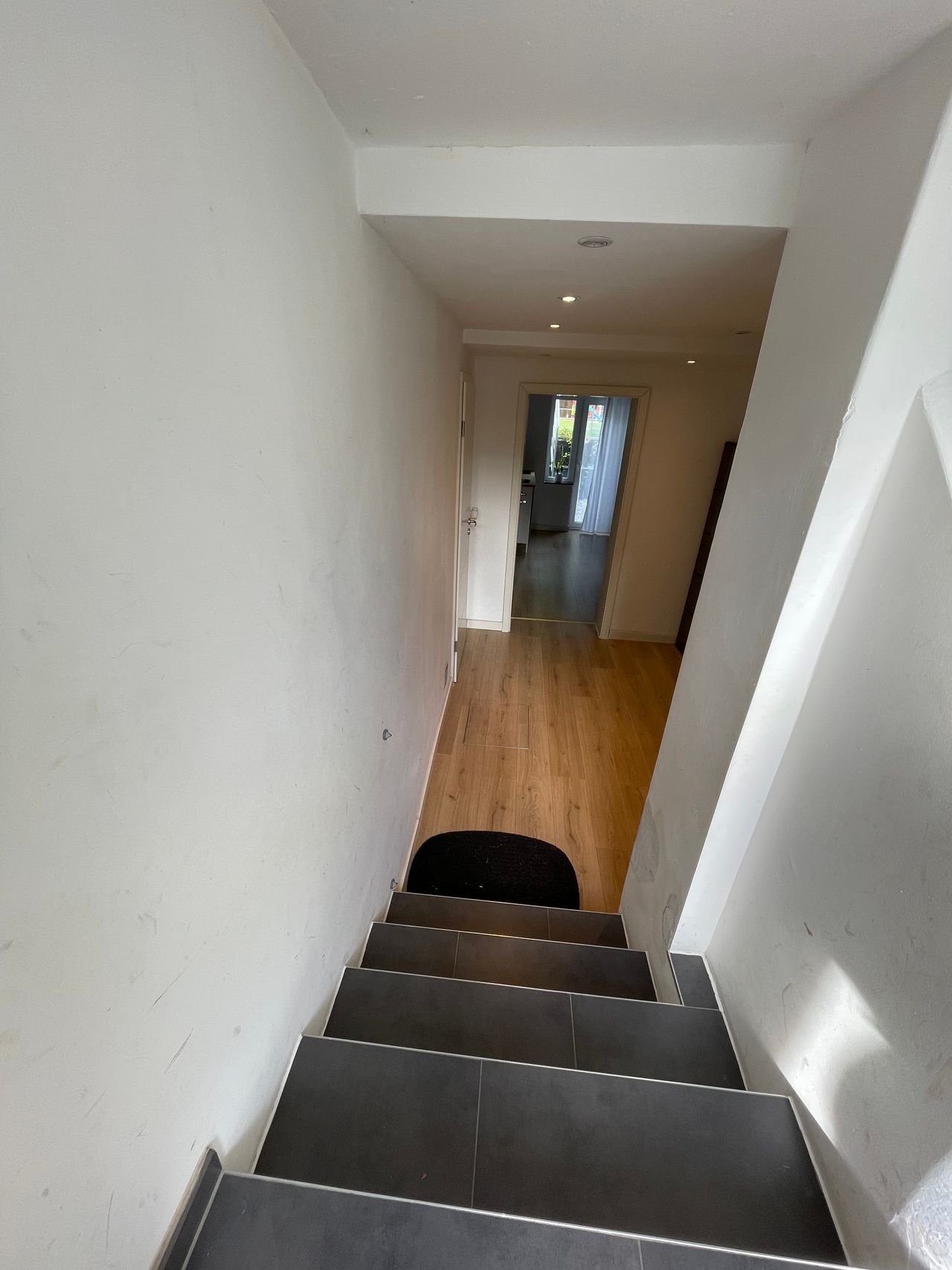 Lovely, fantastic studio in Cologne (Köln) Sülz Klettenberg