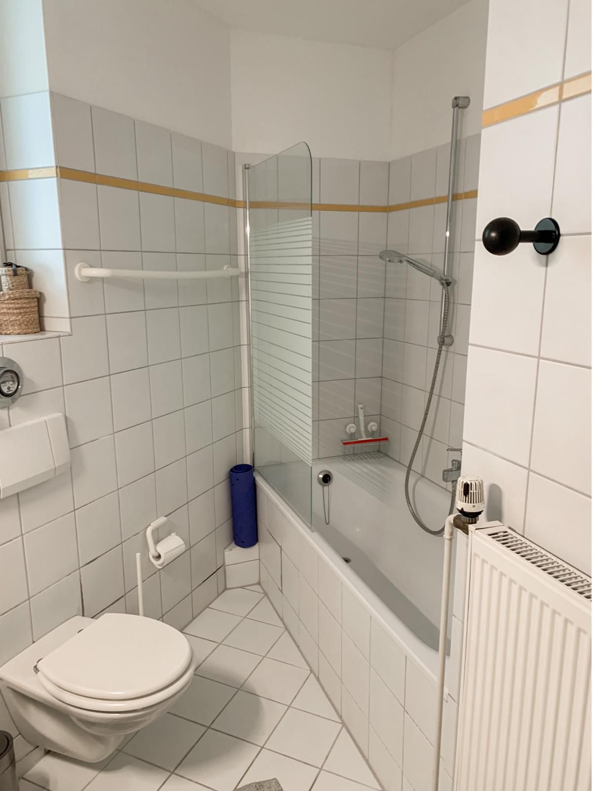 cosy 33 sqm apartment in the center of Düsseldorf