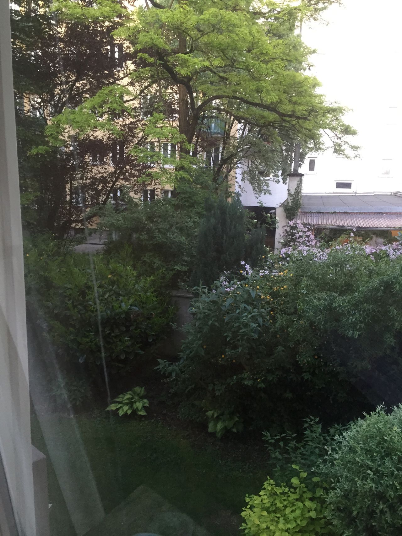 One Bedroom Apartment, Garage, district University