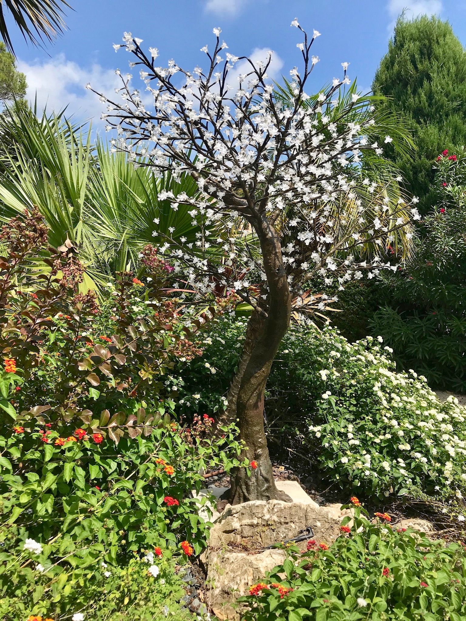 Location Villa avec piscine à proximité de Mougins School (loyer tout inclus)