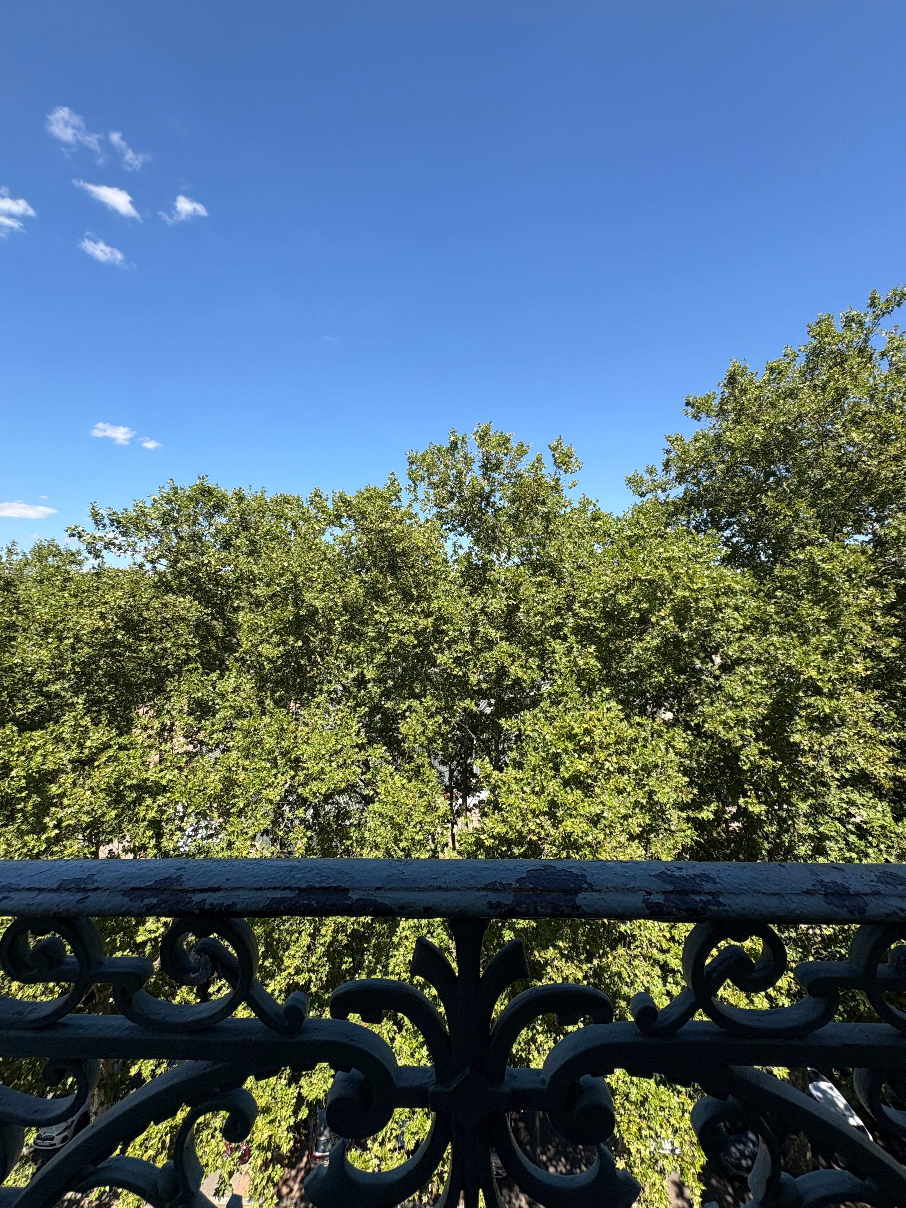 Location Studio – Vue parc de la Tête d'Or Belges– Lyon 6e (loyer tout inclus)