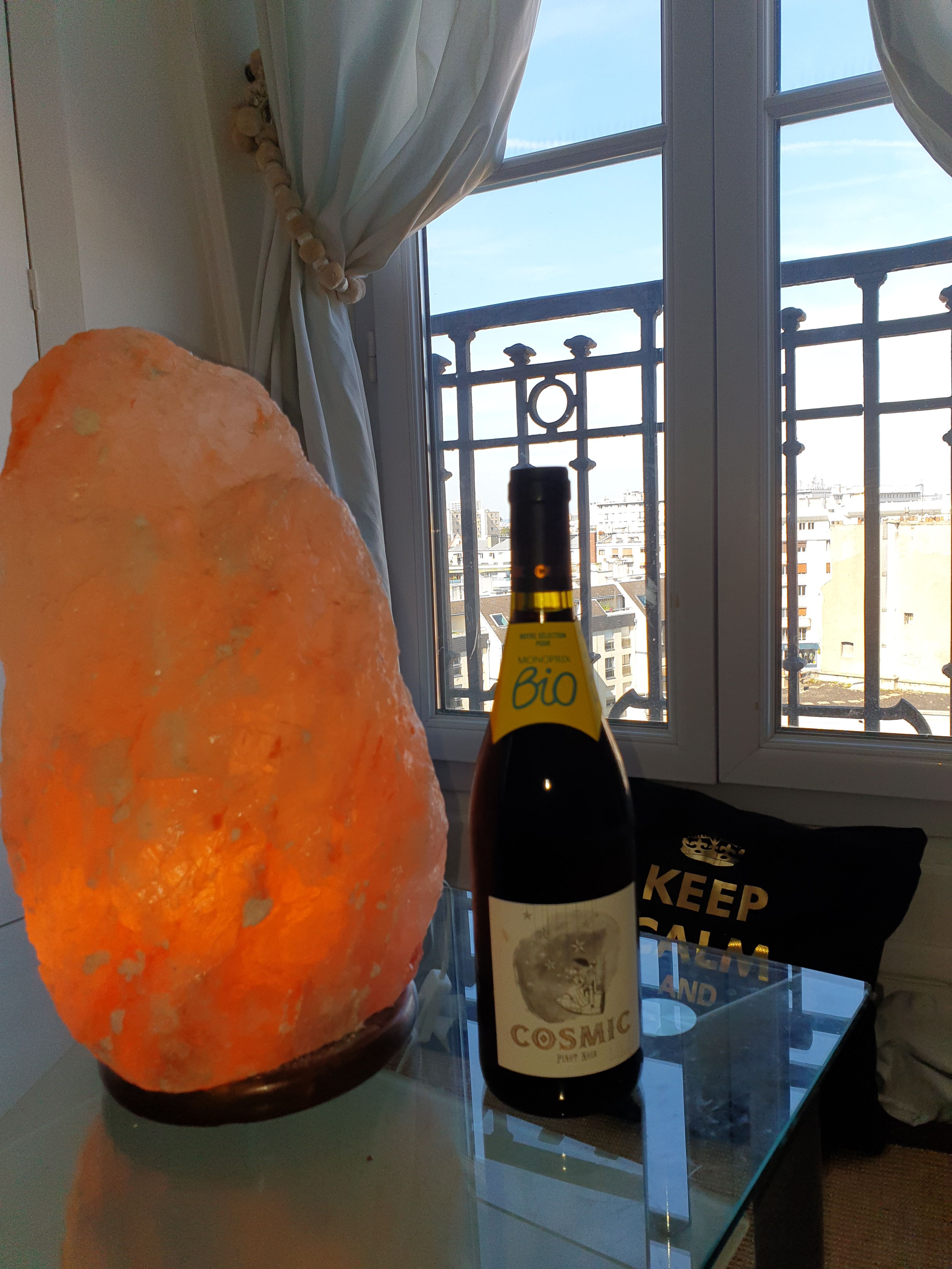 Location À 10 minutes à pied de Paris - Charmant studio avec vue imprenable sur la Tour E