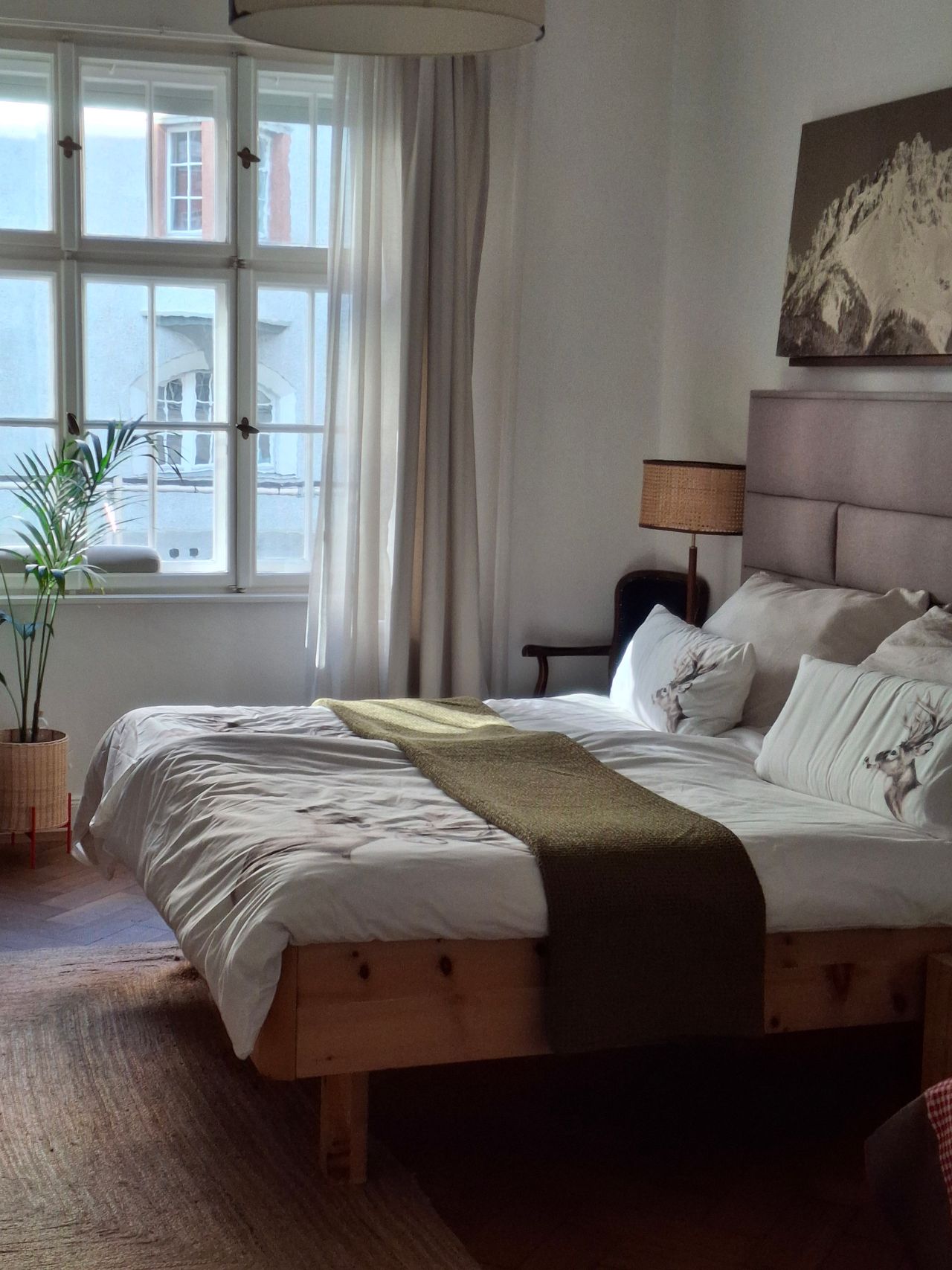 Co-living with almost exclusive use with cat