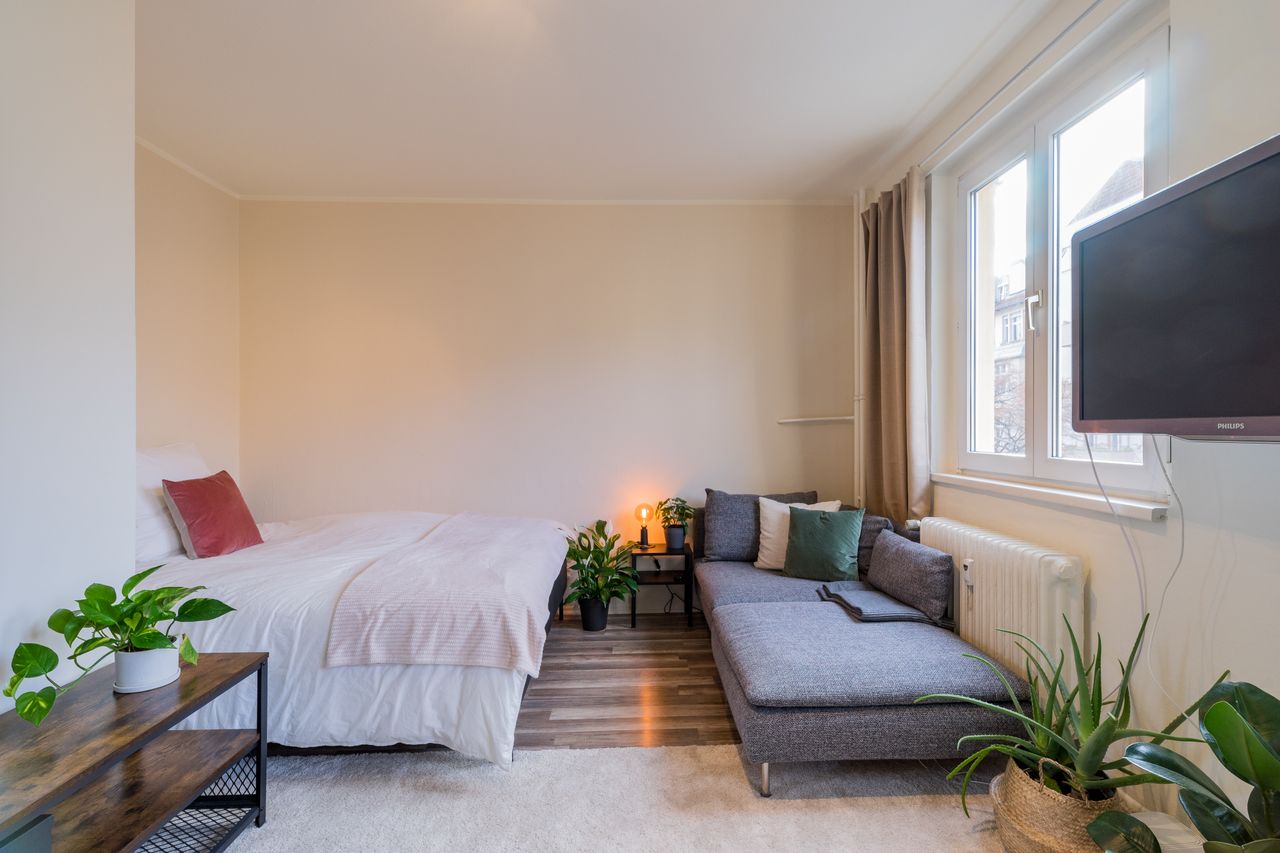 Nice cityapartment next to the park