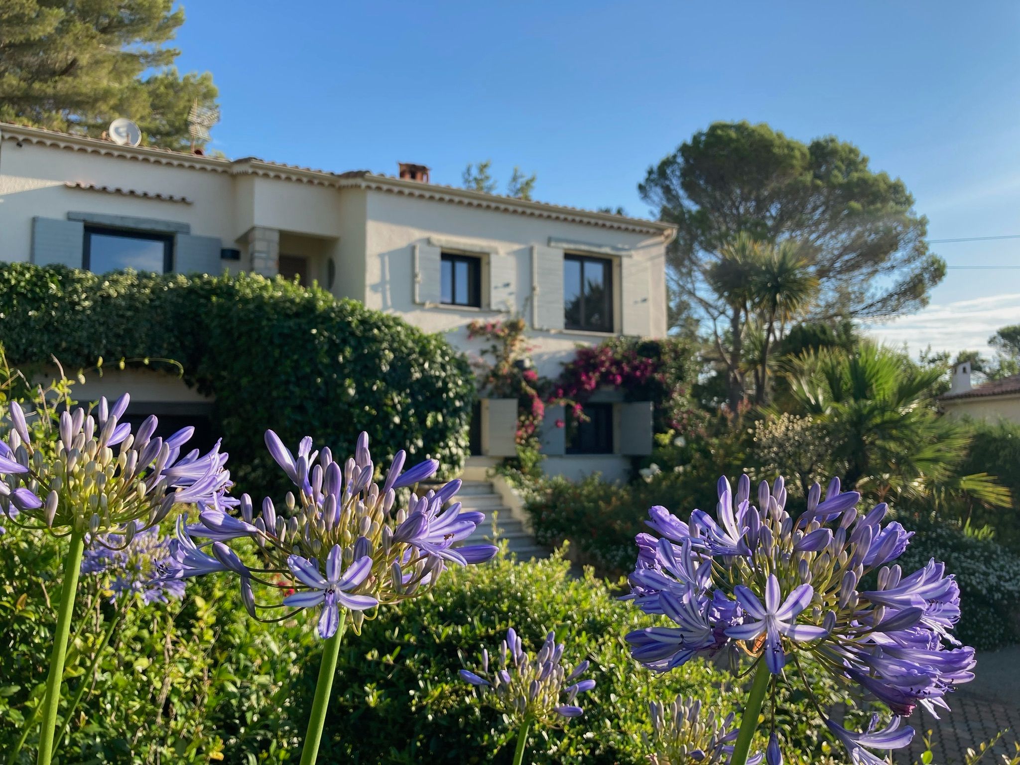 Location Villa avec piscine à proximité de Mougins School (loyer tout inclus)