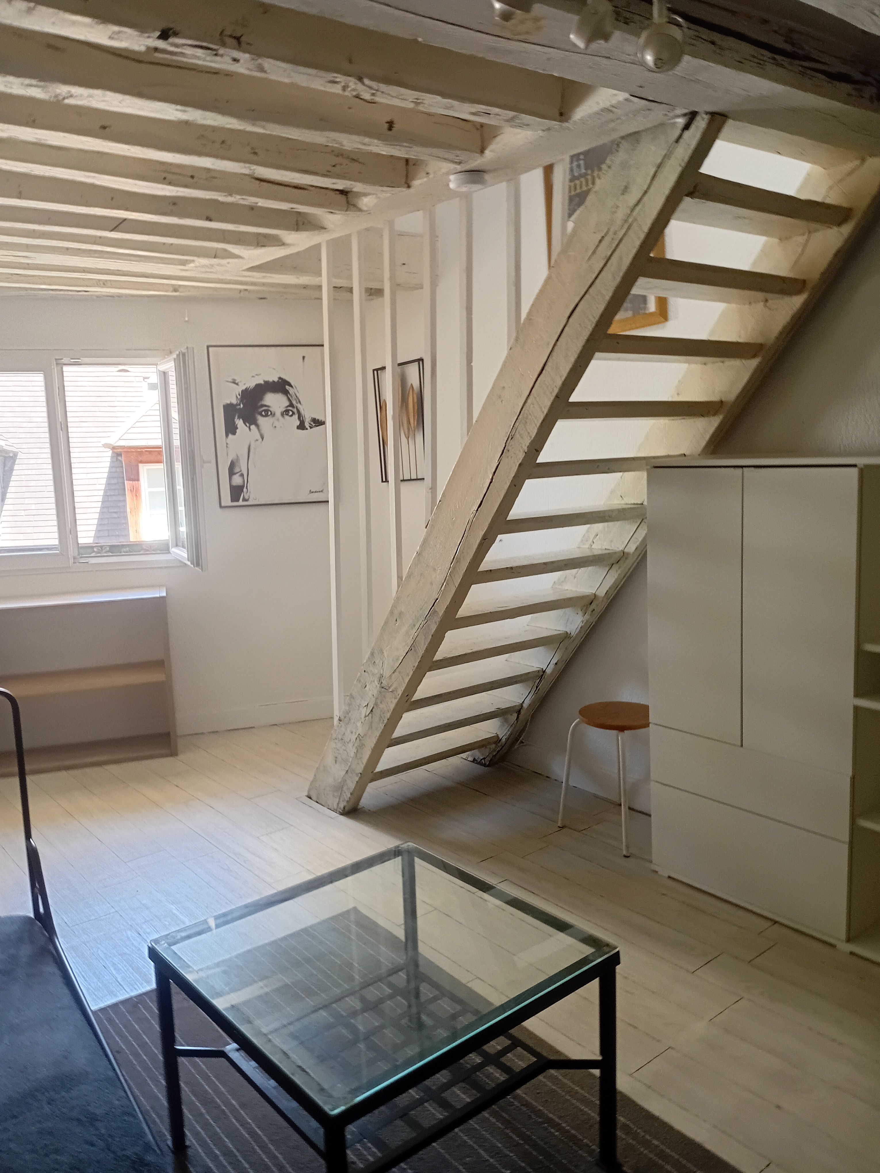 DUPLEX  QUARTIER LATIN  A COTE DE LA SORBONNE ET DE NOTRE DAME (loyer tout inclus) Paris