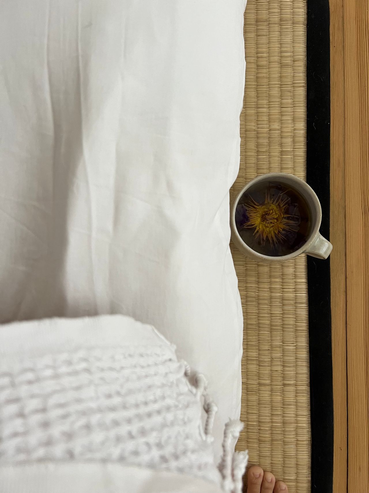 Serene Beautiful Studio