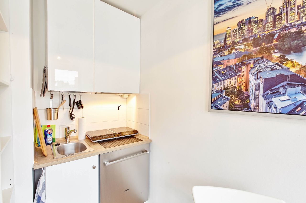 Completely furnished apartment for rent