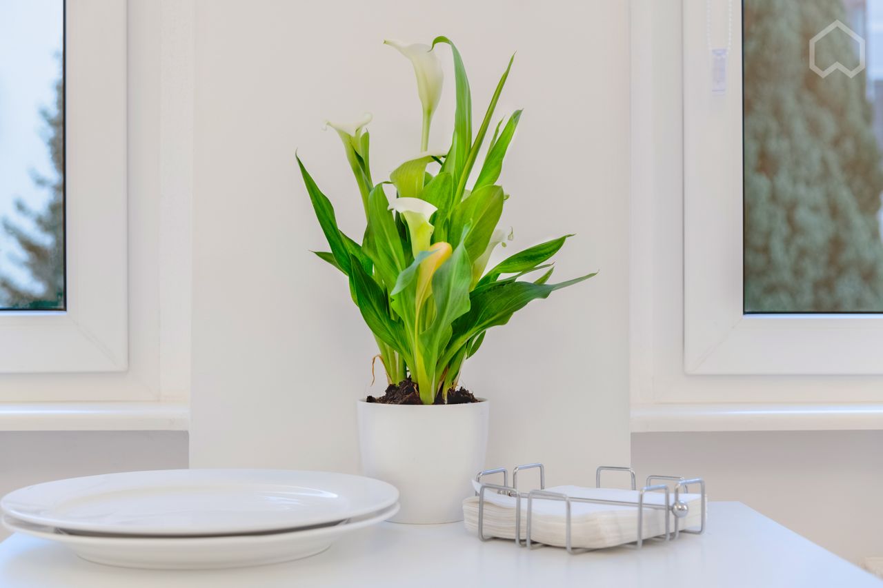 Single-Apartment near University and Grunewald, top renovated, fully furnished, high quality and modern furnishings. No commission