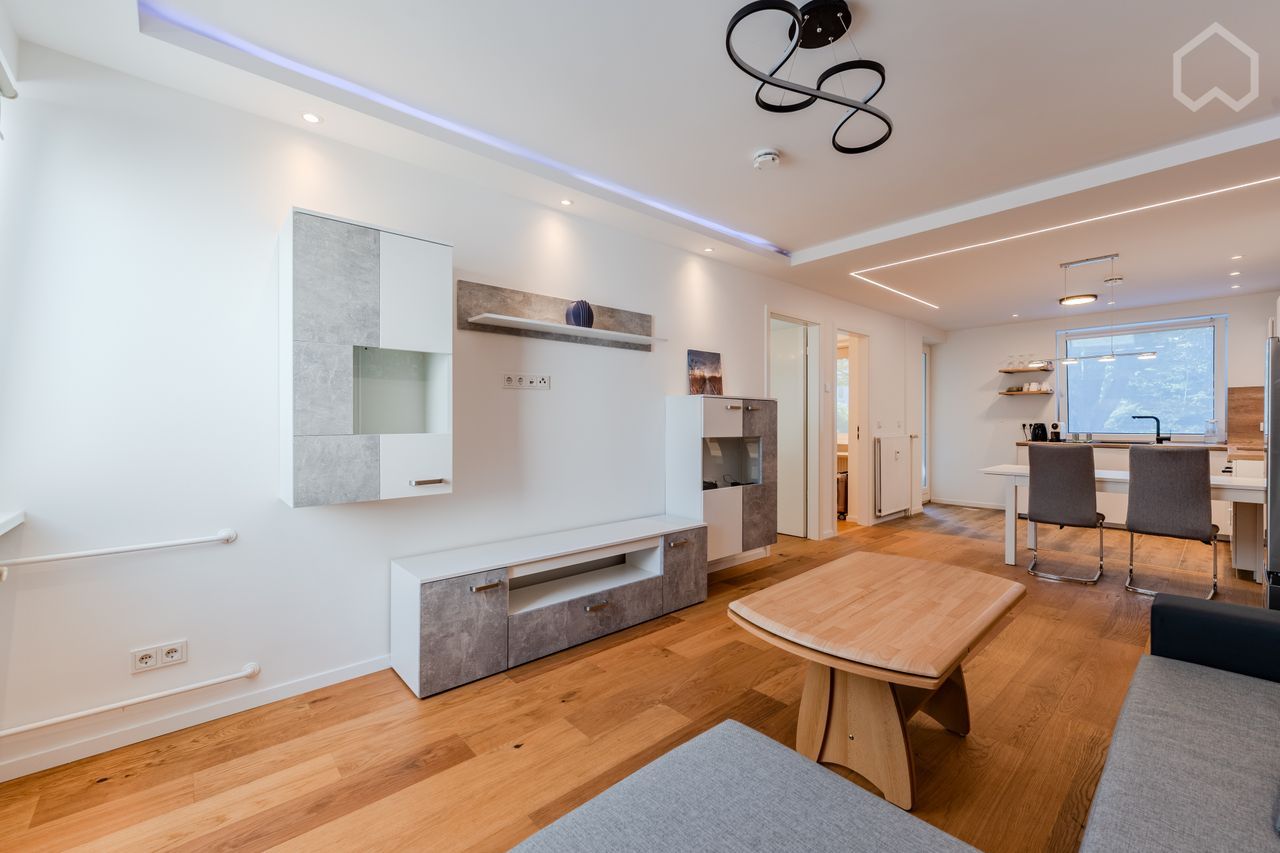 spacious quiet furnished room 13 sqm in a high-end apartment