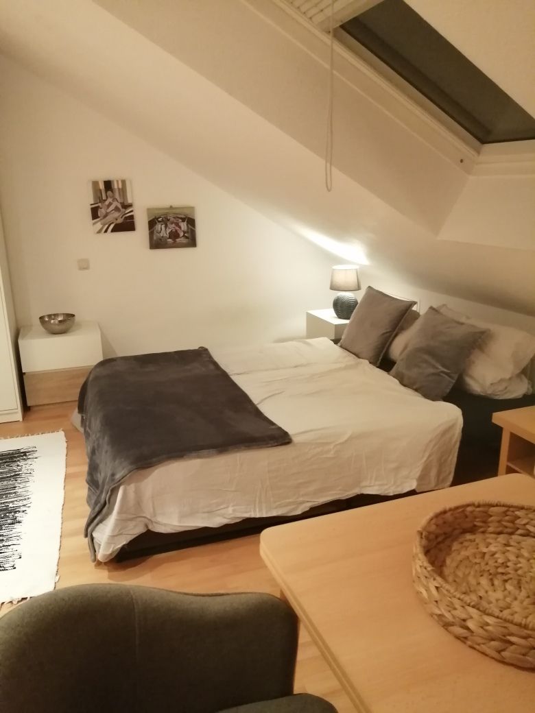 Cozy little Studio apartment in Frankfurt incl. Cleaning service