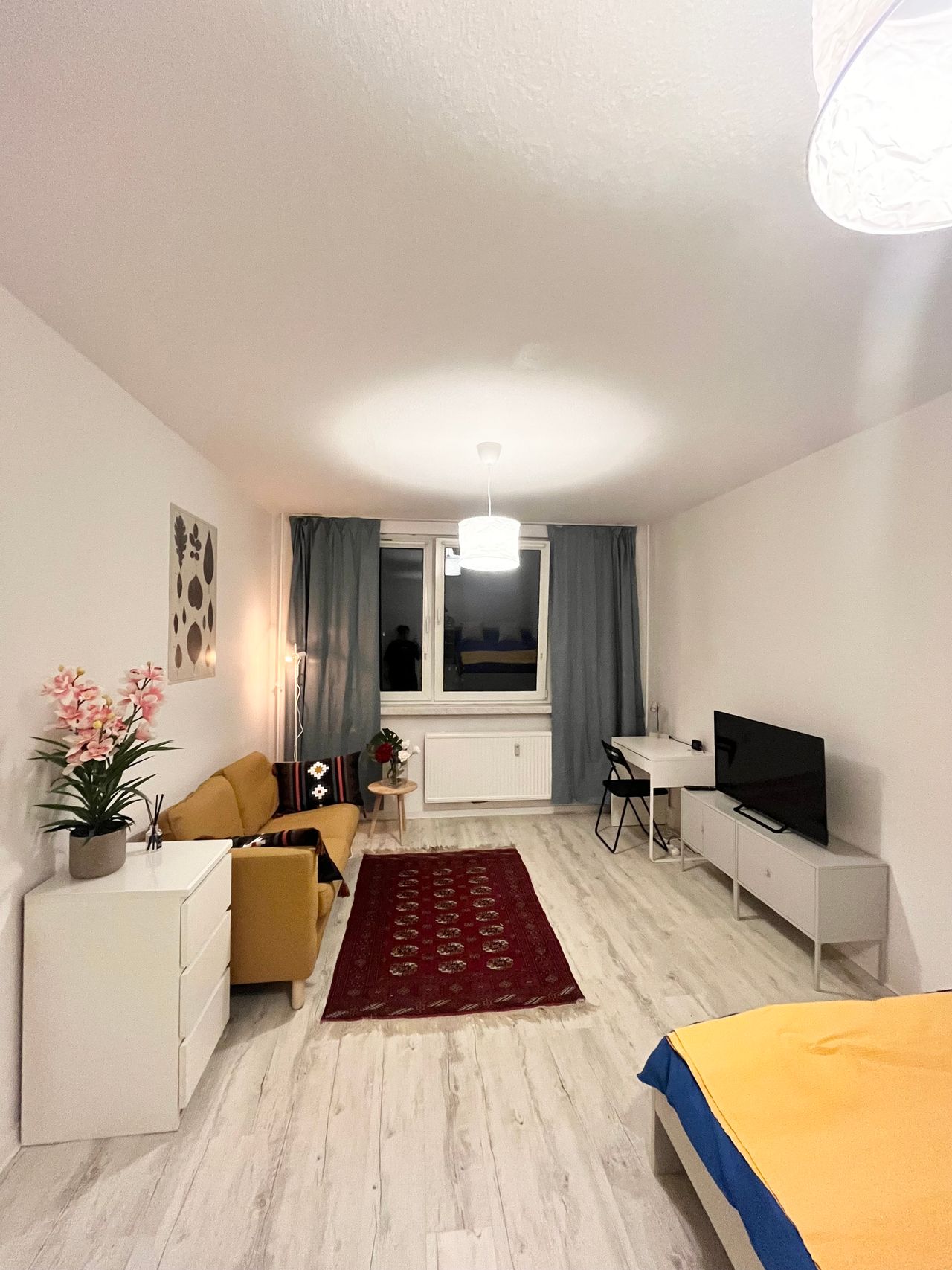 1 room apartment