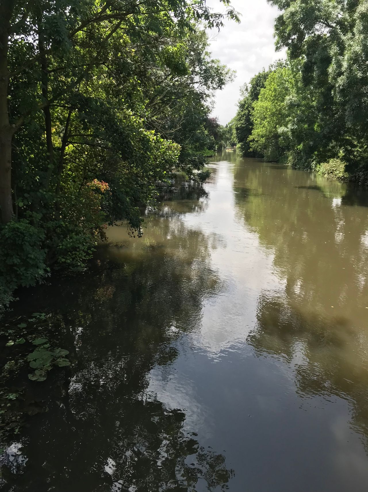 Cozy loft (Grevenbroich)