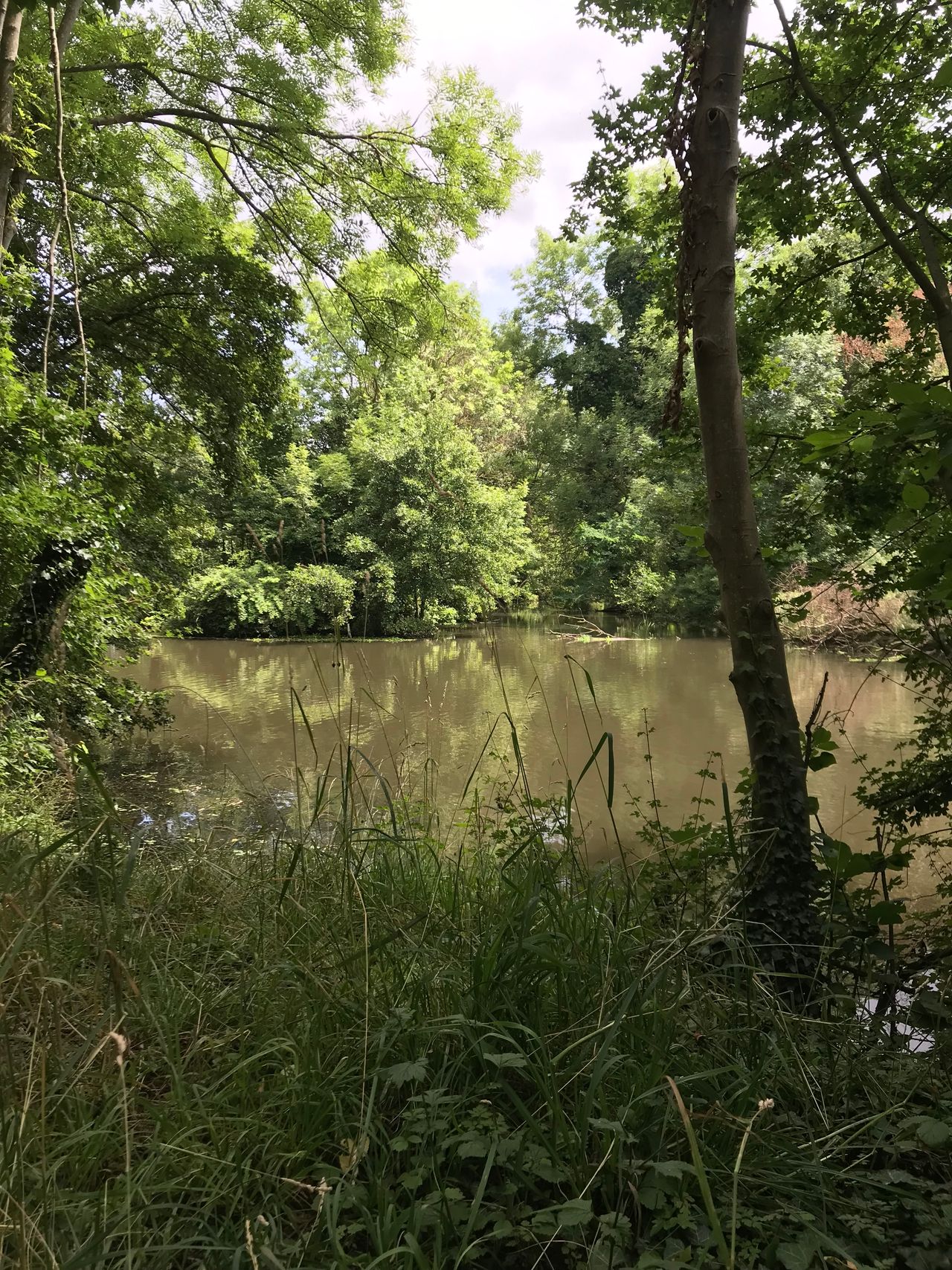 Cozy loft (Grevenbroich)